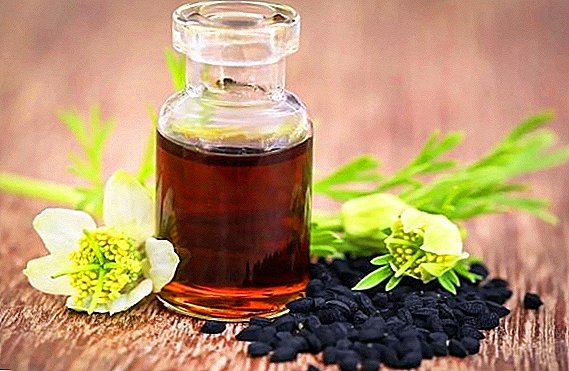Las propiedades curativas del aceite de comino negro para hombres.