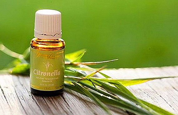 Medicinal properties of citronella oil