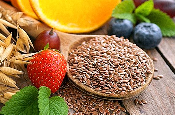 Flaxseed: what is useful, what treats, how to brew and apply