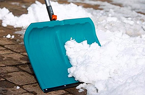 Pala para nieve hecha por usted mismo: lo que debe tener en cuenta al hacer sus propias herramientas de remoción de nieve
