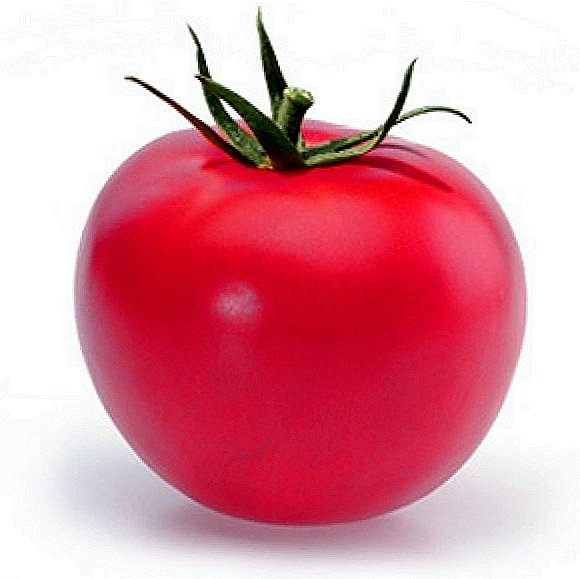 Best at your table: pink tomatoes