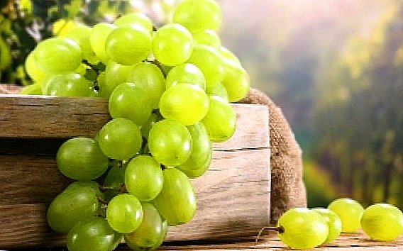 Las mejores uvas blancas.