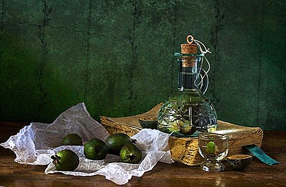 The best recipes tincture of feijoa