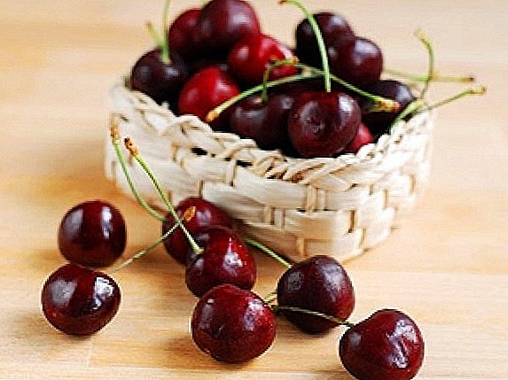 The best grades of cherries for Moscow region