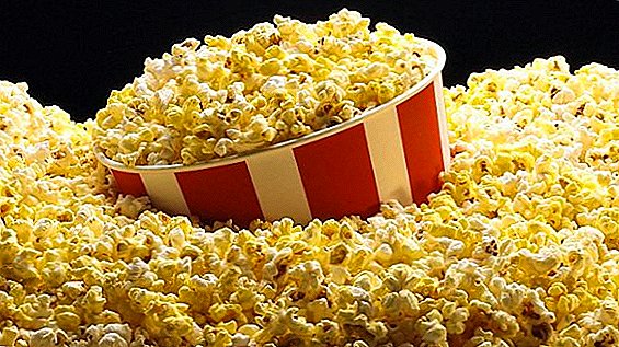 De beste variëteiten maïs voor het maken van popcorn