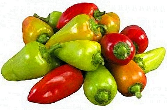 The best varieties of pepper for Siberia