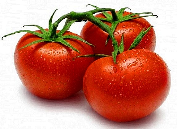 Parimad tomati sortid Siberile