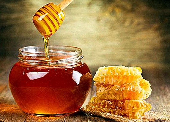 Die besten Möglichkeiten, um den Honig auf Natürlichkeit zu prüfen