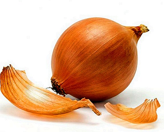 Onion Husk: Useful Properties for the Human Body