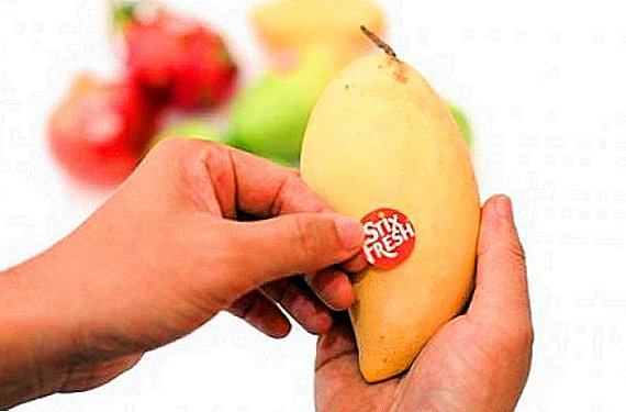 Malaysian fruit growers come up with stickers that extend the shelf life of products