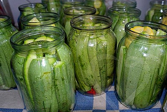 Marinierte Zucchini für den Winter: Einfache Rezepte für jeden Geschmack