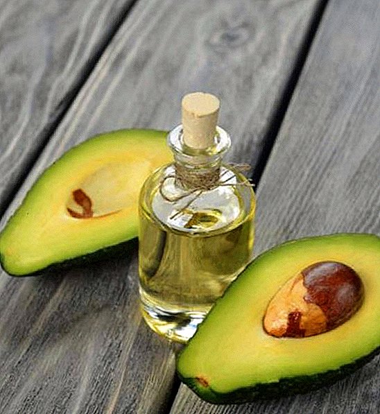 Avocadoöl: Was ist gut für wen? Wer sollte nicht, wie man es für kosmetische Zwecke verwendet?