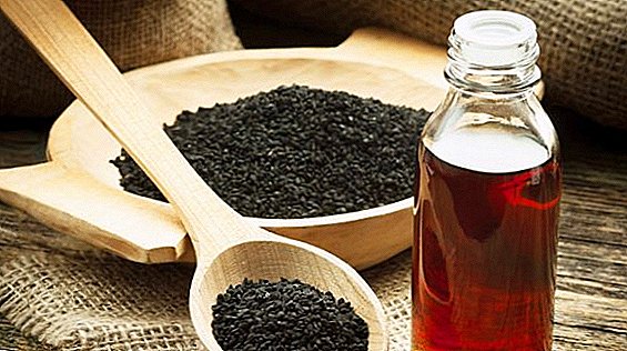 Čierny rascový olej: čo pomáha a aké choroby lieči, ako ich používať
