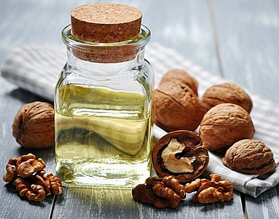 Pähkinäöljy: mikä on hyödyllistä ja mitä herkkuja, joita ei pitäisi käyttää, miten sitä käytetään kosmeettisiin ja lääketieteellisiin tarkoituksiin