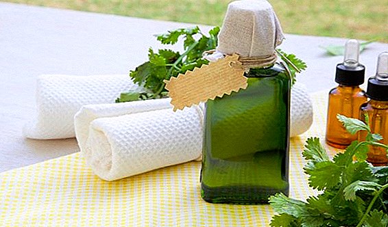 El aceite de cilantro y sus usos.