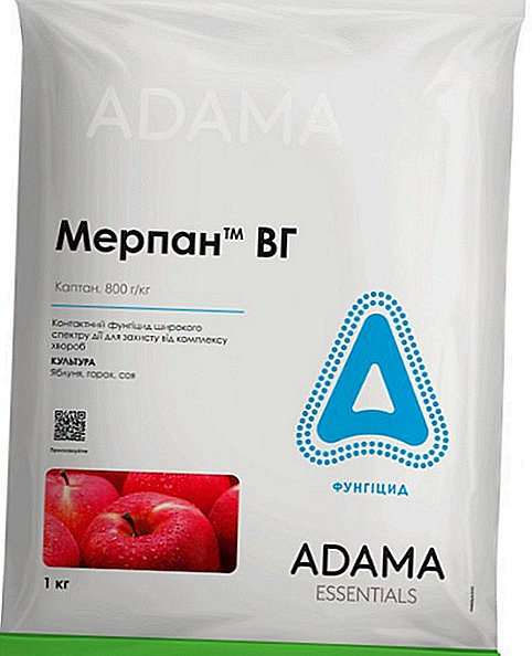"Merpan" for apple protection: description, composition, application