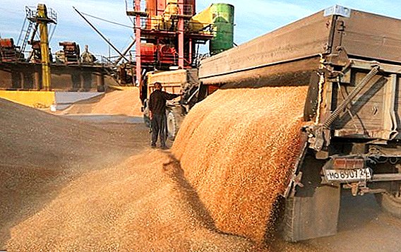 Kementerian Pertanian Rusia telah membuat ramalan eksport bijirin baru.