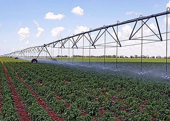 שר החקלאות של אוקראינה הציע להחזיר את ההשקיה