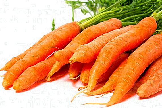 Beneficios de las zanahorias, daños y propiedades del producto.