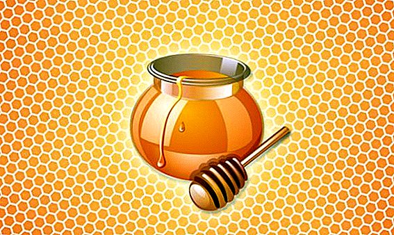 Is het mogelijk om honing in honingraten te eten, hoe je honing uit honingraten thuis kunt krijgen