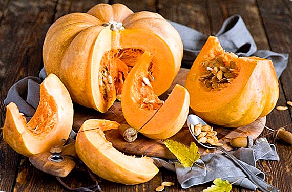Is it possible and how to keep cut pumpkin at home