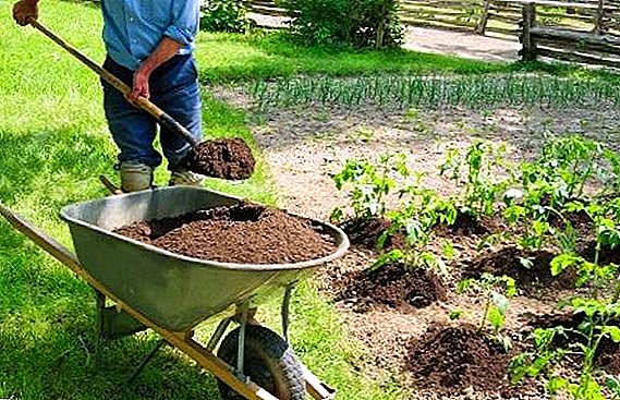 Est-il possible de fertiliser le jardin avec des excréments