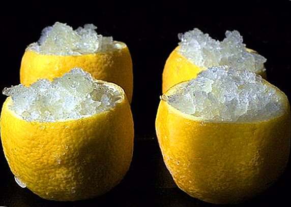 Kann man Zitronen im Gefrierschrank einfrieren?