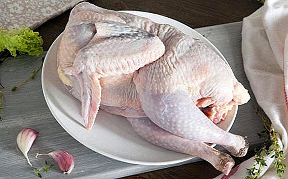 Carne de galinha guinada: quantas calorias do que úteis