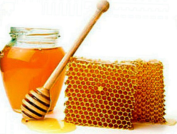 Honey processing plant opened in one of the Ukrainian villages