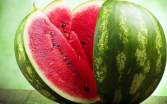 What to look for when choosing a watermelon