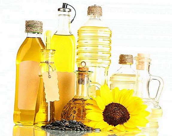 In the world market of sunflower oil there was a shift of forces.