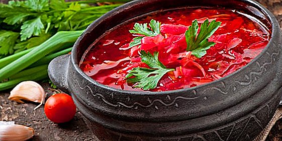 في جبال الأورال ، بدأ إنتاج "حساء تم إجلاؤه"