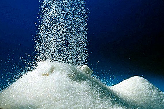 Največji obseg sladkorja Rusija izvaža v Kazahstan