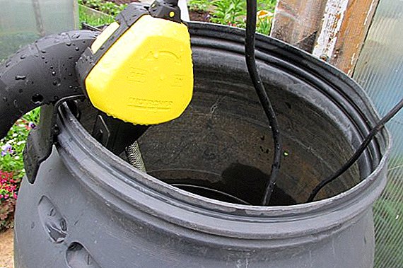 Bomba de rega do barril: como escolher e como organizar a rega