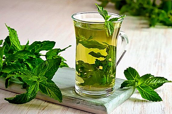 Peppermint tincture, use in traditional medicine