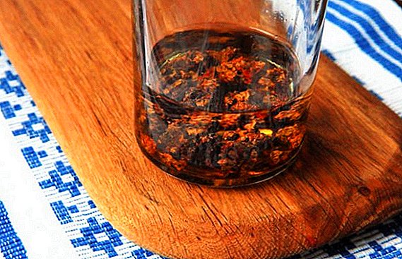 Propolis tincture on alcohol: instructions for preparation and use