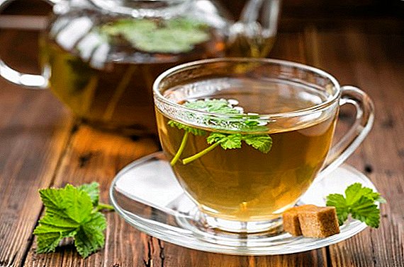 No solo bayas: que el té útil de las hojas de frambuesa.