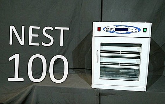 Review of the incubator for eggs "Nest 100"