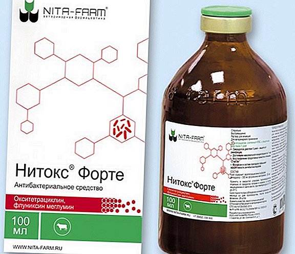 "Nitoks Forte"：薬の使用法と薬理学的性質