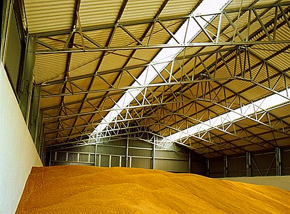 Low rates of grain exports in Russia threaten planting campaigns