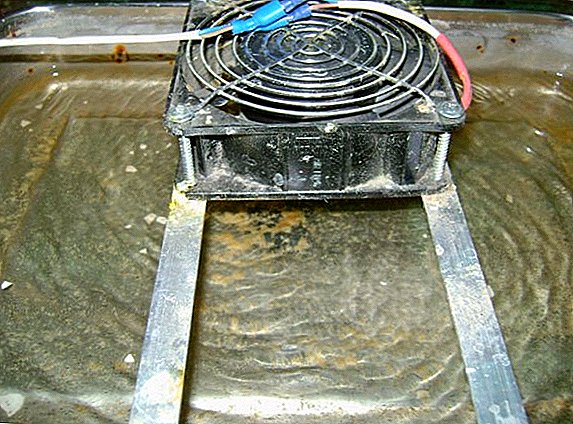 Норми и методи за контролиране на влажността в инкубатор