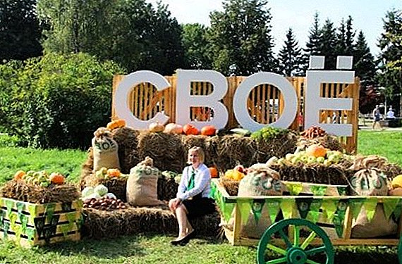 ノヴゴロドの農民は、農地祭 "OWN"で彼らの製品を発表することができるでしょう