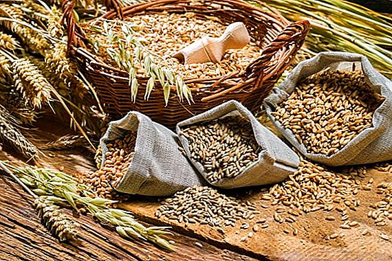 ロシア穀物のための新しい食物ルート