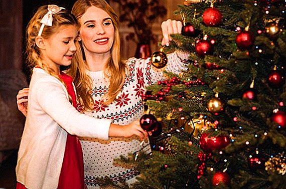 Kerstboom: prachtige decoratie met uw eigen handen