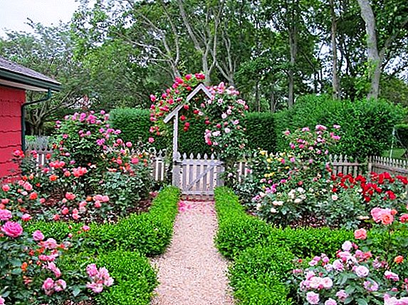 Göra en plats framför huset med egna händer, eller hur vackert arrangera trädgården