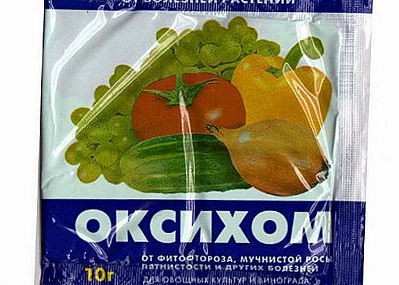 "Oxyhom": تعليمات لاستخدام الدواء واسع الطيف