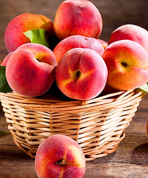 Description and photos of popular varieties of nectarine