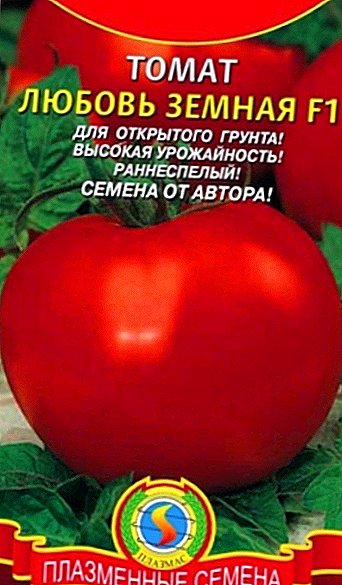 Opis i uzgoj rajčice "Zemaljska ljubav" za otvoreno tlo