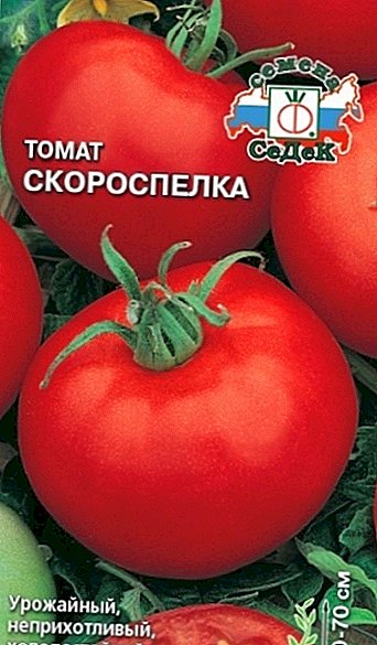Beschreibung und Anbau der Tomate "Skorospelka" im Freiland