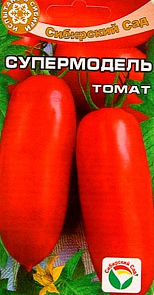 Description and cultivation of tomato "Supermodel" for open ground